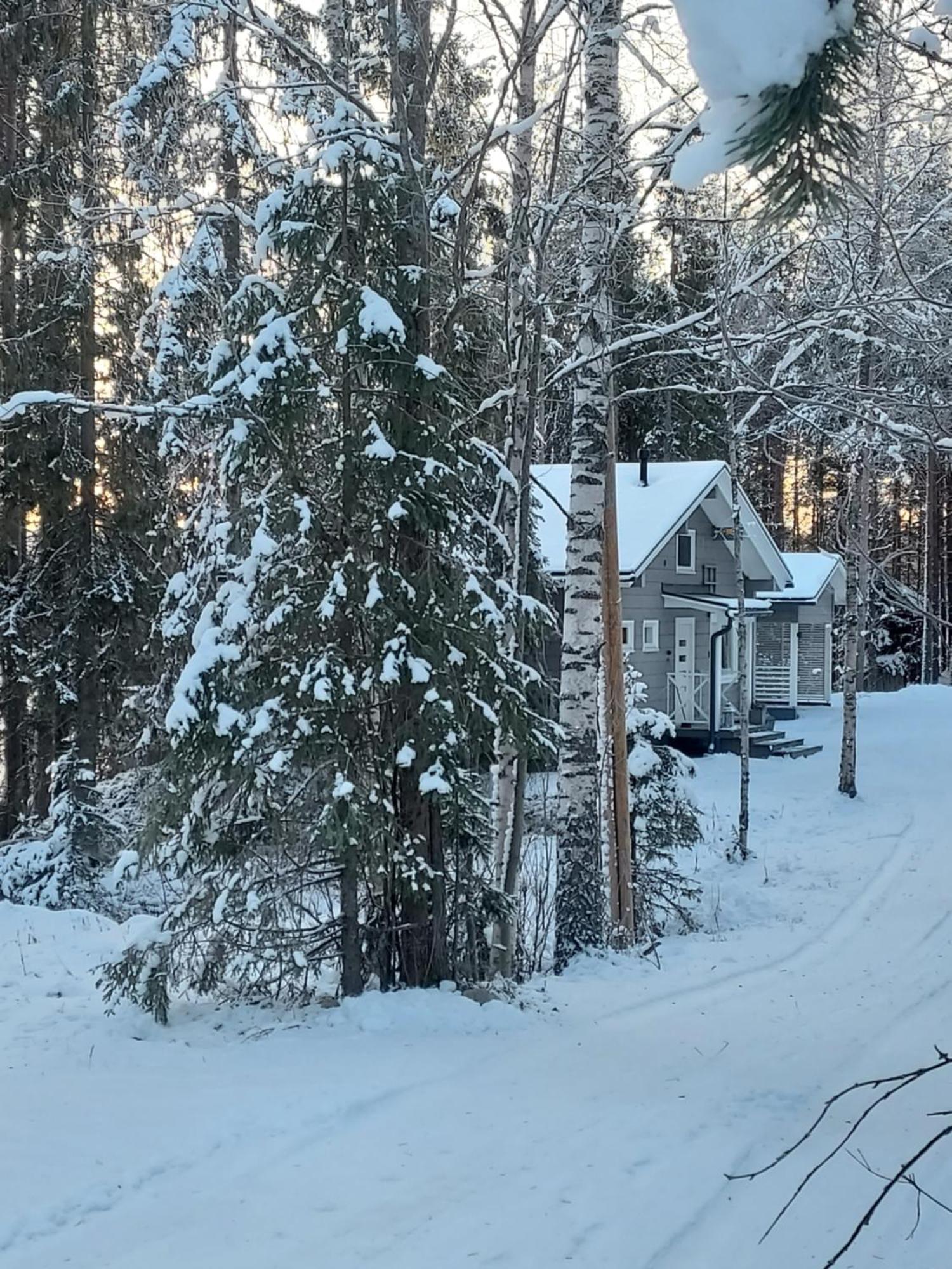 Villa Sirius Sieri, Nice Log-Cottage By The Lake Rovaniemi Exterior foto